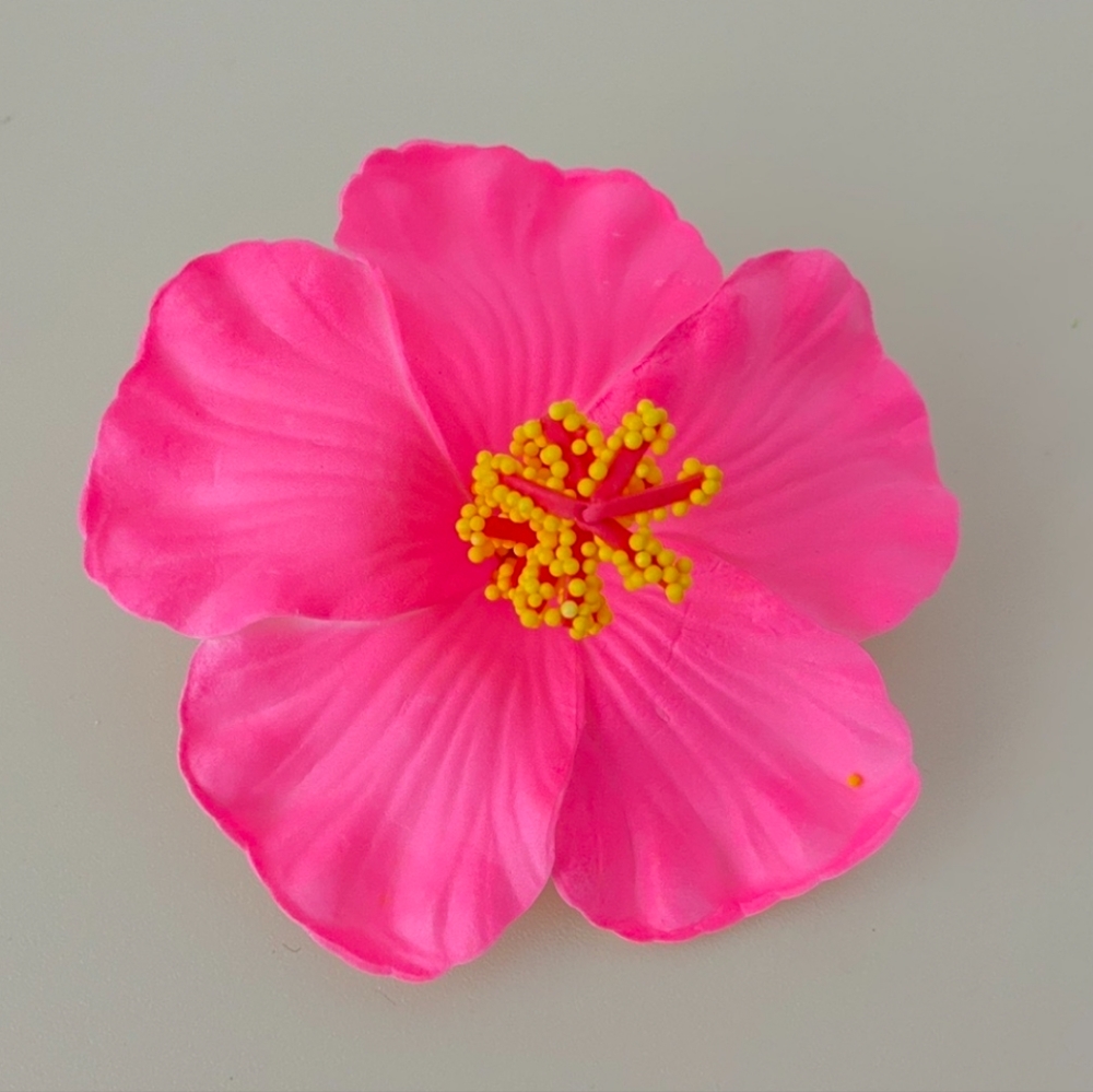 Hair clip 🌺
